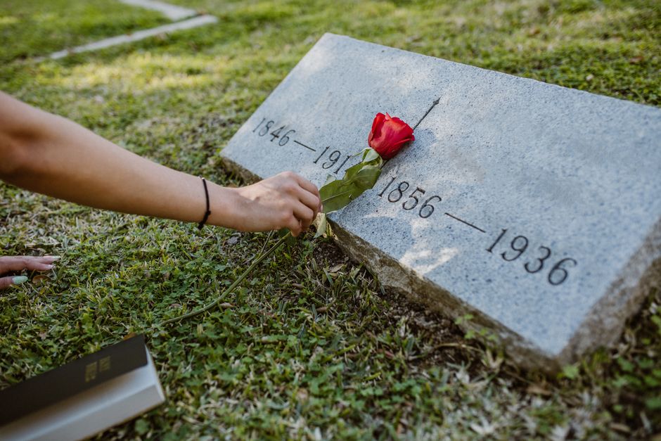 A hand holding a red rose with green leaves is placing it on a memorial gravestone made of grey granite, engraved with the years 1846-1916 and 1856-1936. The person is seated on the grass, which surro
