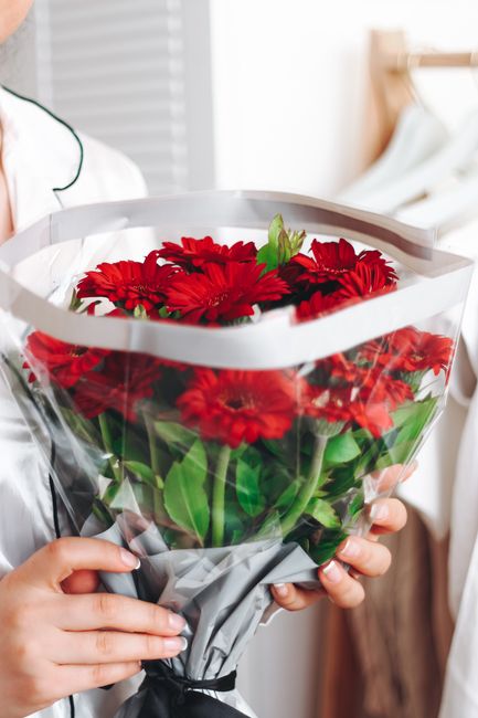 A person holding a bouquet of vibrant red gerbera daisies wrapped in clear cellophane, with green foliage visible beneath the blooms. The bouquet is cradled in both hands, with the individual wearing